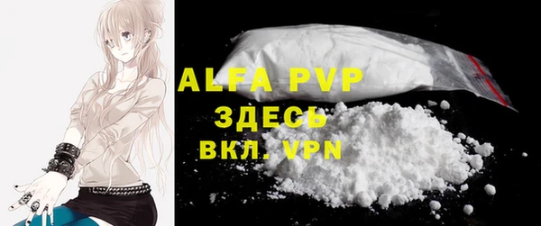 амф Новодвинск
