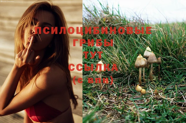 МДМА Алзамай