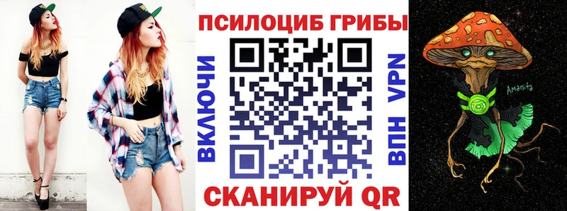 Псилоцибиновые грибы Psilocybe  Мышкин 